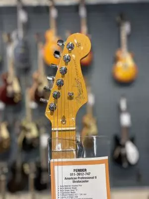 Fender - Am Pro II Strat 2