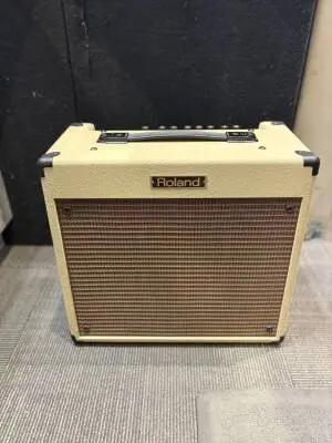 ROLAND BLUES CUBE 30W AMP
