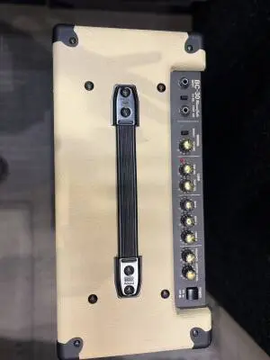 ROLAND BLUES CUBE 30W AMP 2