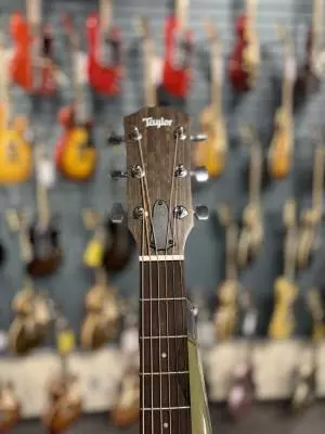 Taylor Guitars - 110CE V3 2