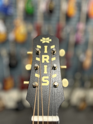 IRIS MS Parlour Guitar 3