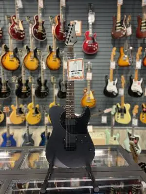 EART Guitars - Tele Style HH