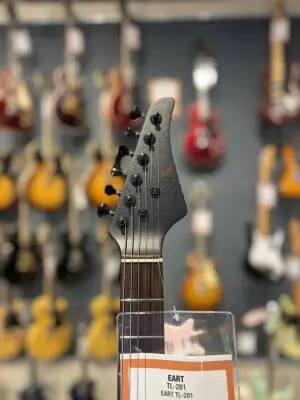 EART Guitars - Tele Style HH 2