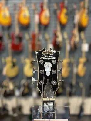 D'Angelico DLX Bedford SH 2