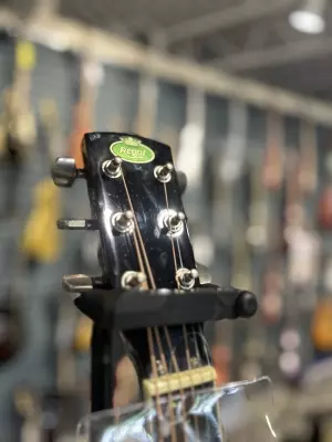 Regal Resonator Guitar 3