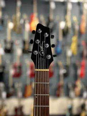 Godin LG 2