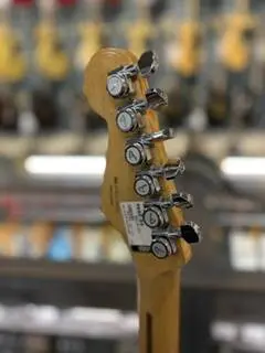 Fender Parts Caster 2