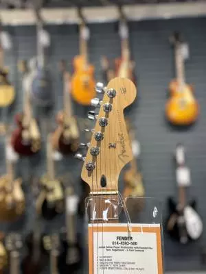 Fender - Limited Edition Player Stratocaster with Roasted 2