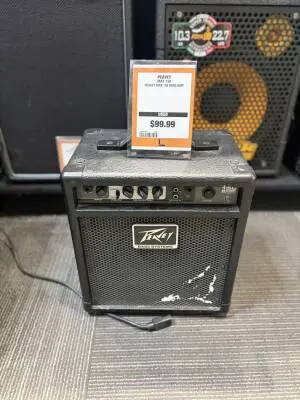 Peavey Bass Combo