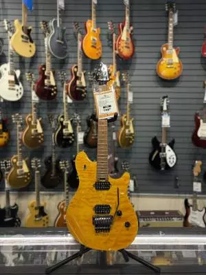 EVH - Wolfgang WG Standard