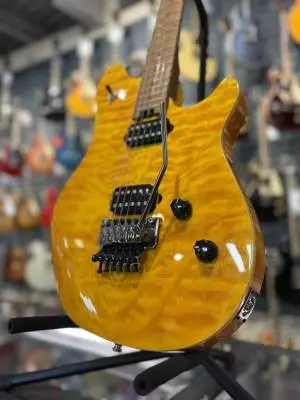 EVH - Wolfgang WG Standard 2