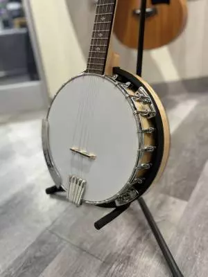 Gold Tone Closed Back Banjo 2