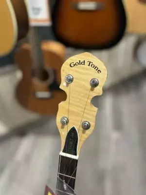 Gold Tone Closed Back Banjo 2