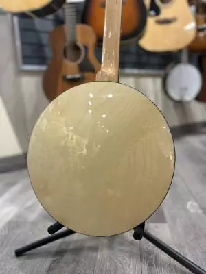 Gold Tone Closed Back Banjo 2