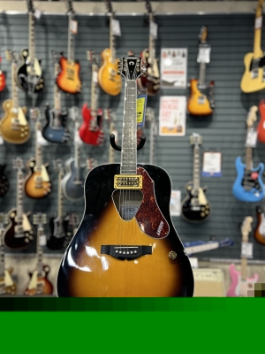 Gretsch Guitars Fidelitron