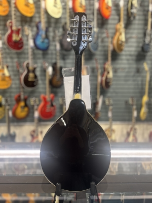 Samick エレクトリックマンドリン Samick サミック PU搭載 エレキフラットマンドリン - メルカリ