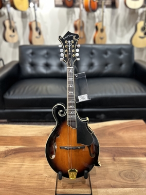 Gold Tone F Style Mandolin