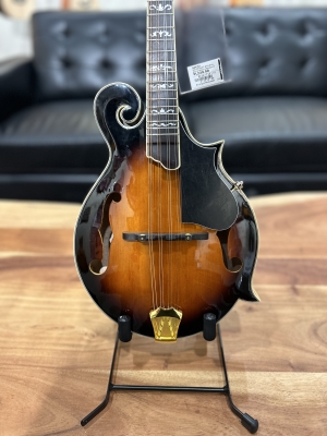 Gold Tone F Style Mandolin 2