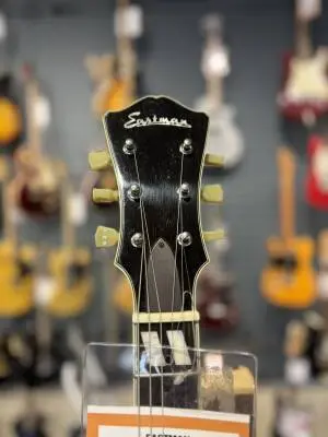EASTMAN THINLINE HH BIGSBY RED 2