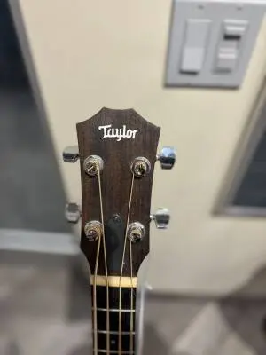 Taylor Guitars -GS Mini Bass Maple Back 2