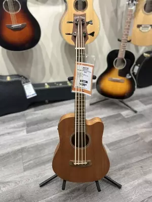 Gold Tone - MICRO BASS