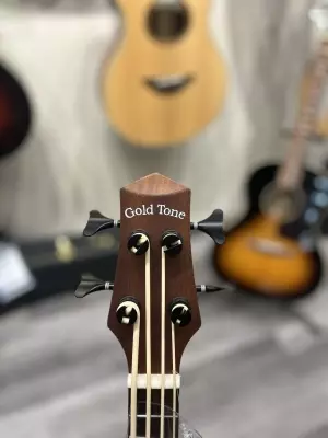 Gold Tone - MICRO BASS 2