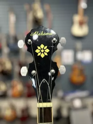 Alabama 4 String Closed-Back Banjo 2