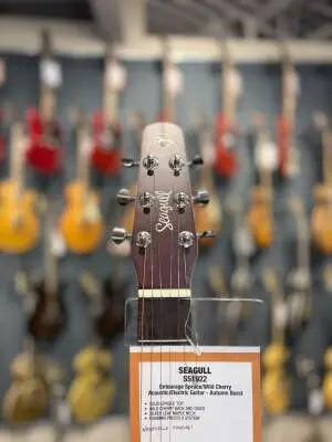 Seagull Guitars - Entourage Autumn Burst Presys II 2