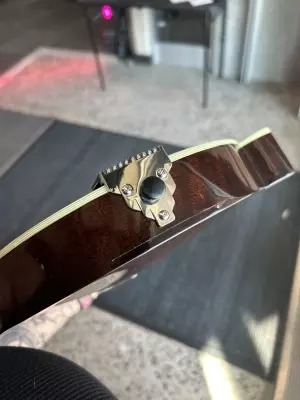 Eastman Guitars - F-Style Mandolin 2