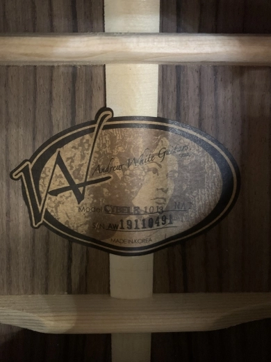 ANDREW WHITE GUITAR 3