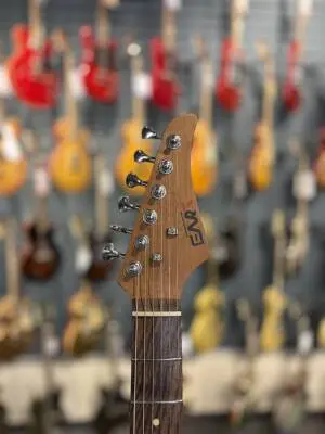 EART YGX-SM3 ELECTRIC GUITAR 2