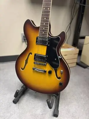 EART GUITARS SEMI HOLLOW E325 2