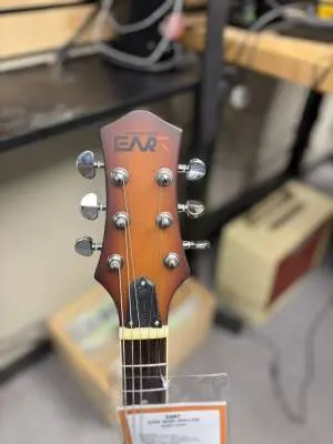 EART GUITARS SEMI HOLLOW E325 2