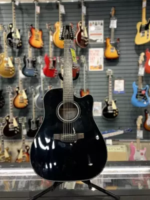 Takamine 12 String