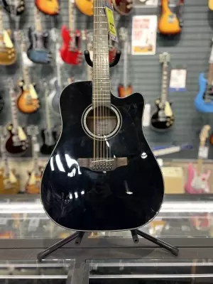 Takamine 12 String 2