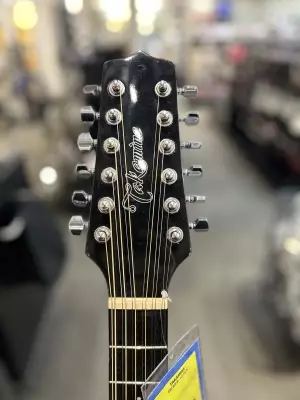 Takamine 12 String 3