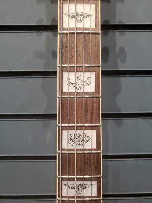 Gretsch Guitars - G6120 Eddie Cochran Hollow Body 4