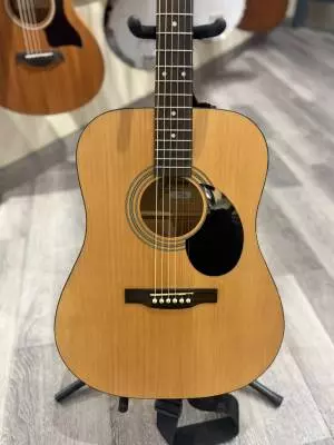 Jasmine by Takamine Acoustic 2
