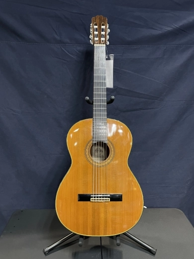 TAKAMINE AC NYLON CEDAR W/CASE