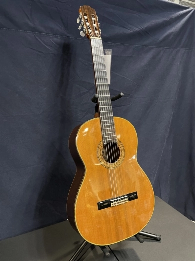 TAKAMINE AC NYLON CEDAR W/CASE 2