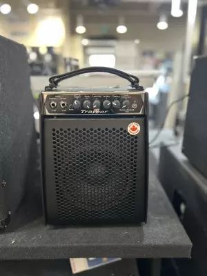 Traynor Small Block 100 Watt Micro Combo/Bass Amp