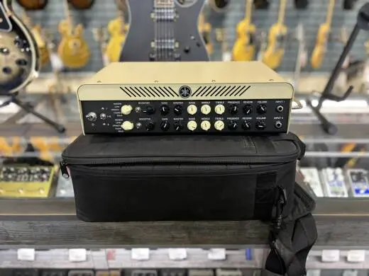 Yamaha - Yamaha Modeling Head x2