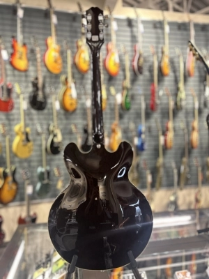 Epiphone Jim James ES-335 3