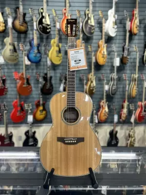 Takamine - New Yorker in Natural