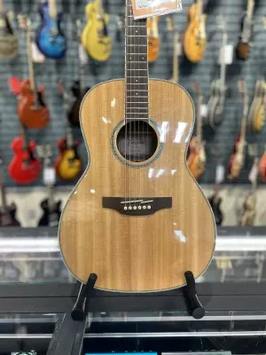Takamine - New Yorker in Natural 2