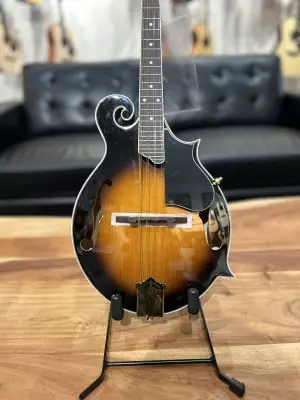 Denver F Style Mandolin 2