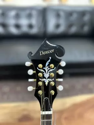 Denver F Style Mandolin 3