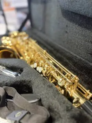 Selmer - La Voix II Alto Sax 2