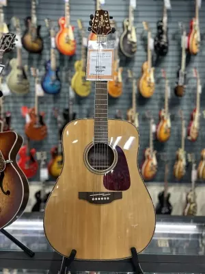 Takamine GD93-NAT