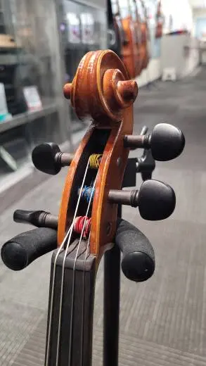 Eastman 15